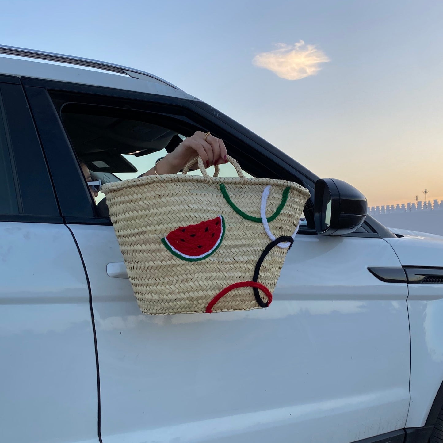Watermelon Bag