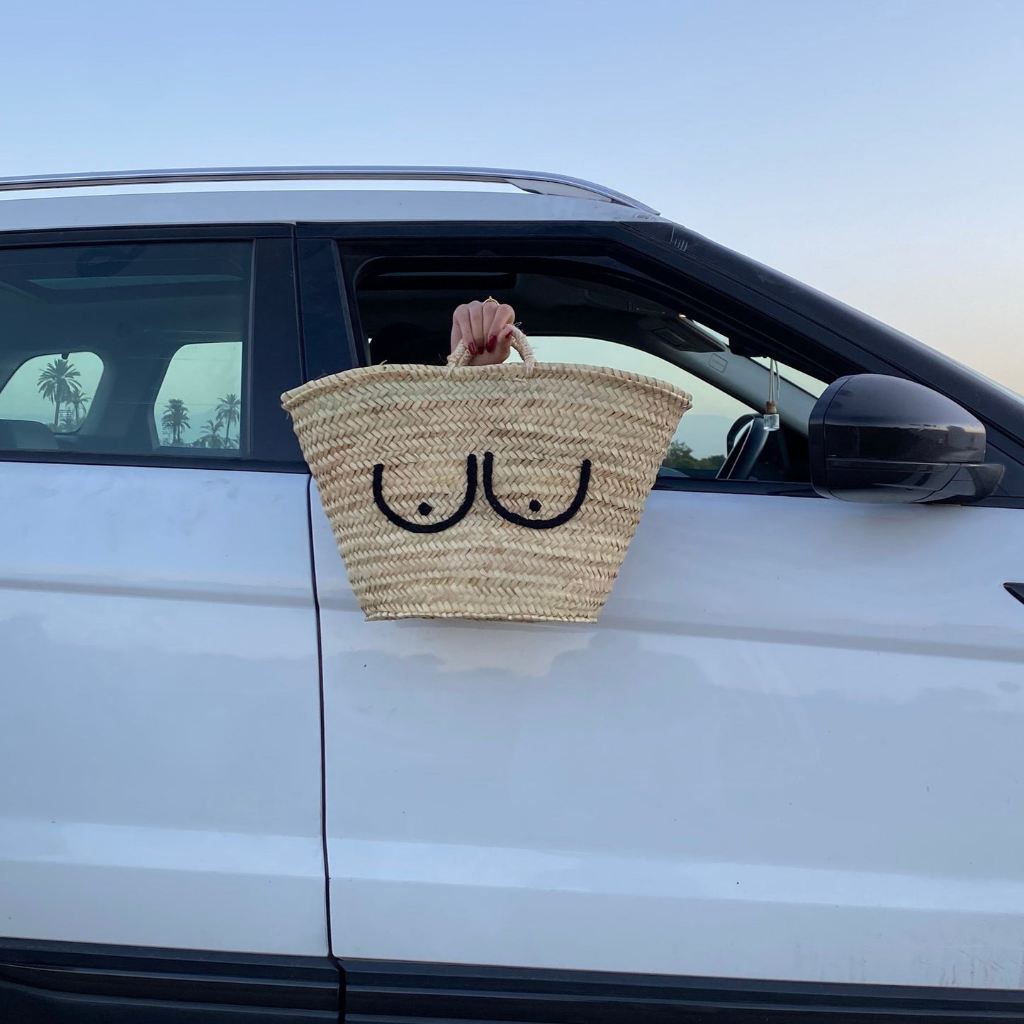 Boobies bag